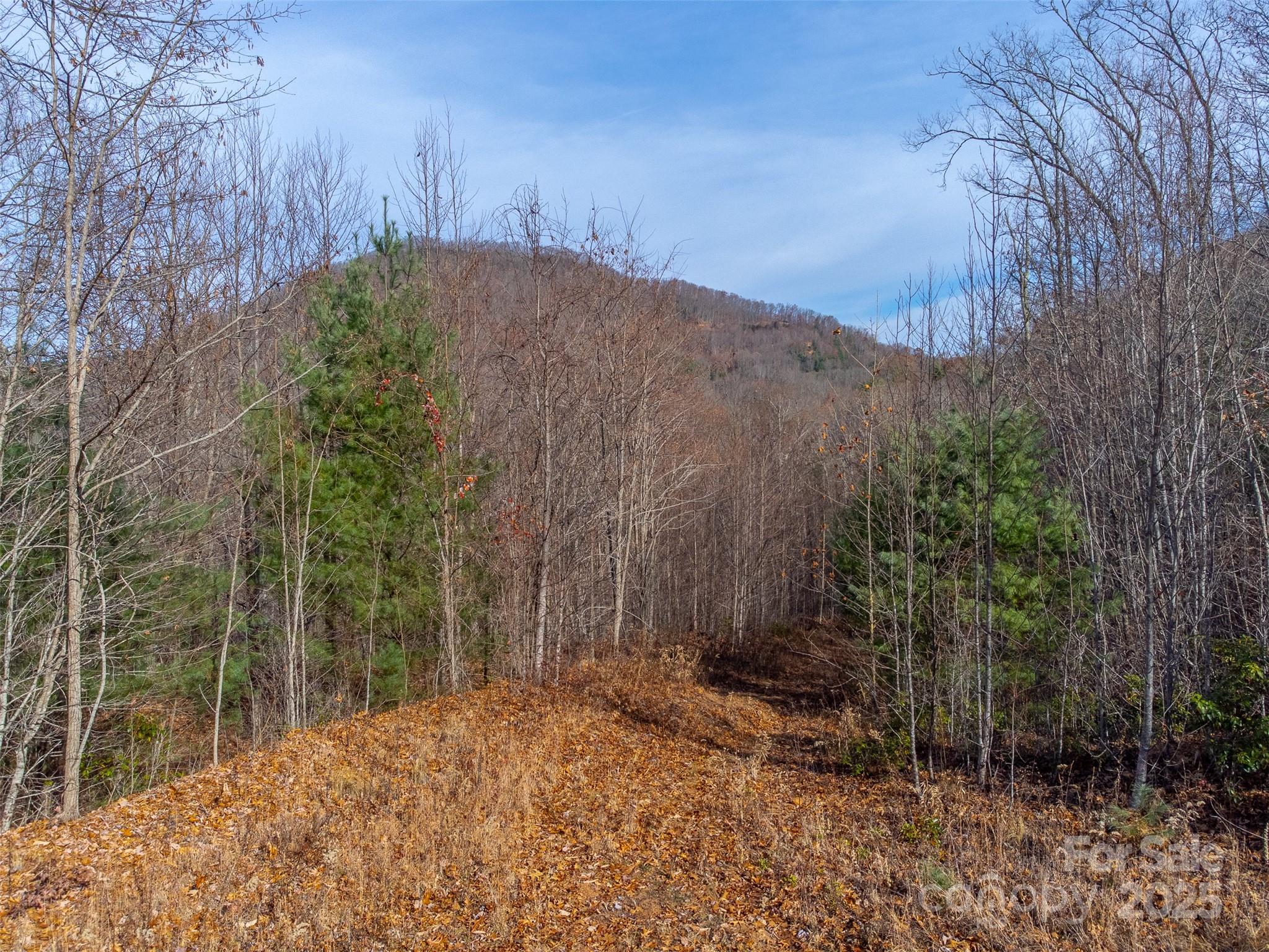 0 Garnet Road Sylva, NC 28779 - Photo 23 of 46 a view of a backyard