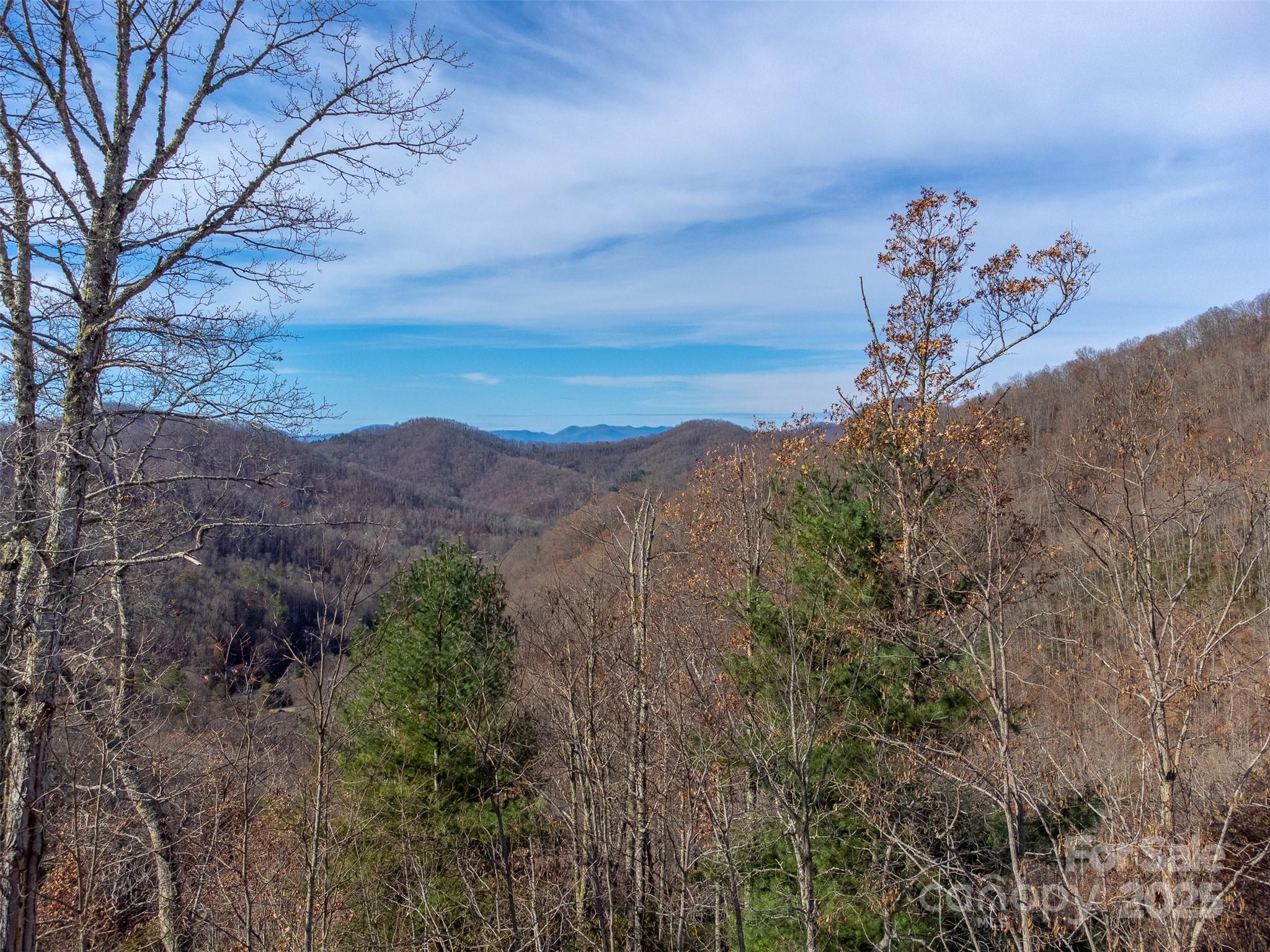 0 Garnet Road Sylva, NC 28779 - Photo 25 of 46 a view of a forest with a mountain in the background