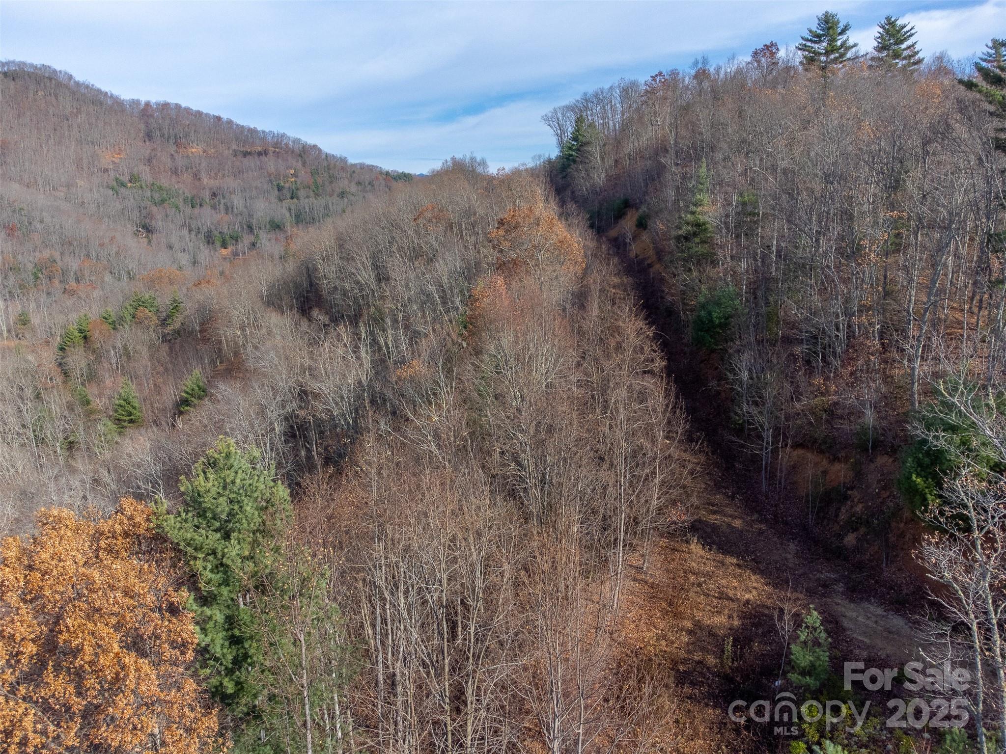0 Garnet Road Sylva, NC 28779 - Photo 27 of 46 a view of a yard with mountains in the background