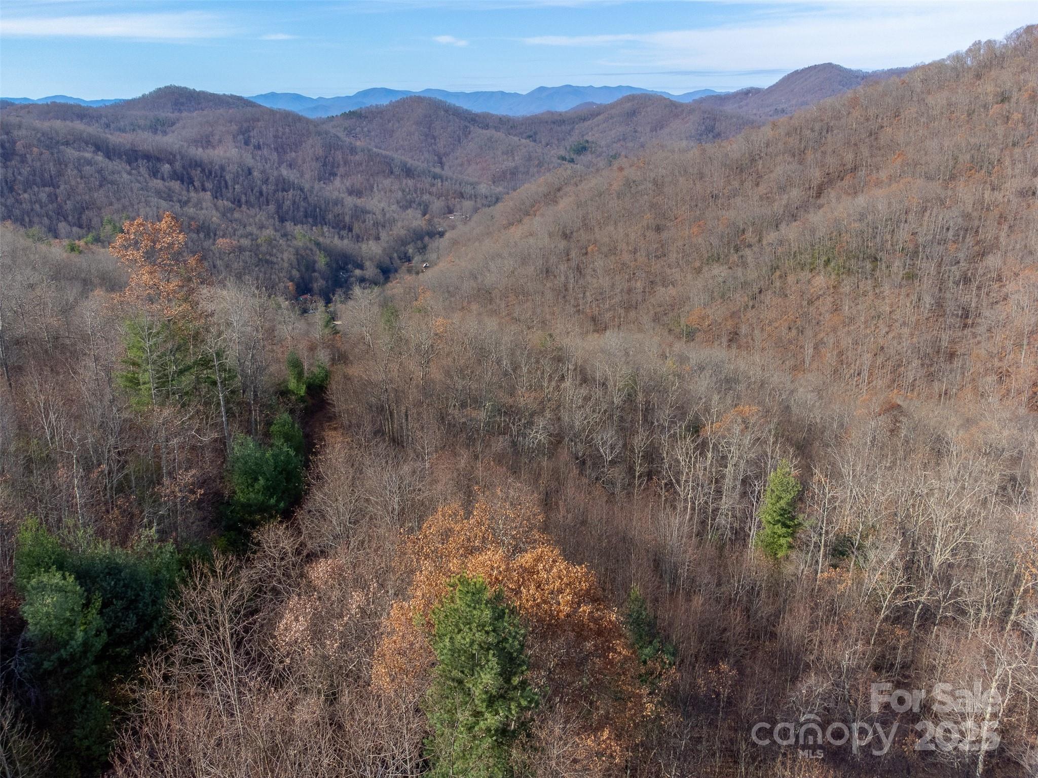 0 Garnet Road Sylva, NC 28779 - Photo 28 of 46