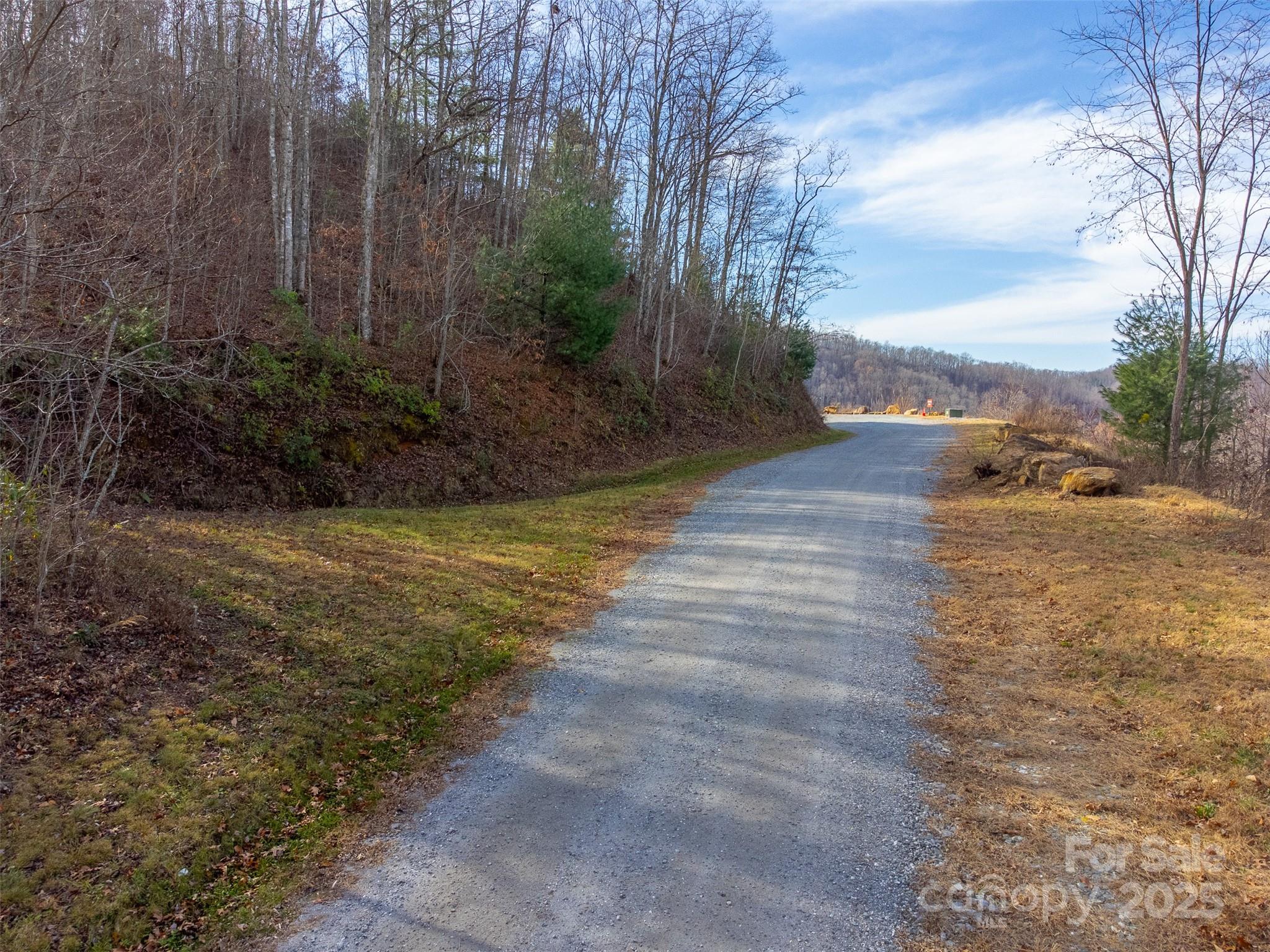 0 Garnet Road Sylva, NC 28779 - Photo 3 of 46 a view of a yard with an trees