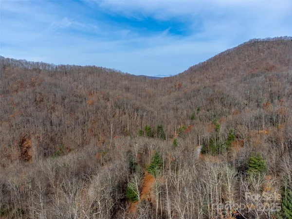 a view of a forest with mountains in the background
