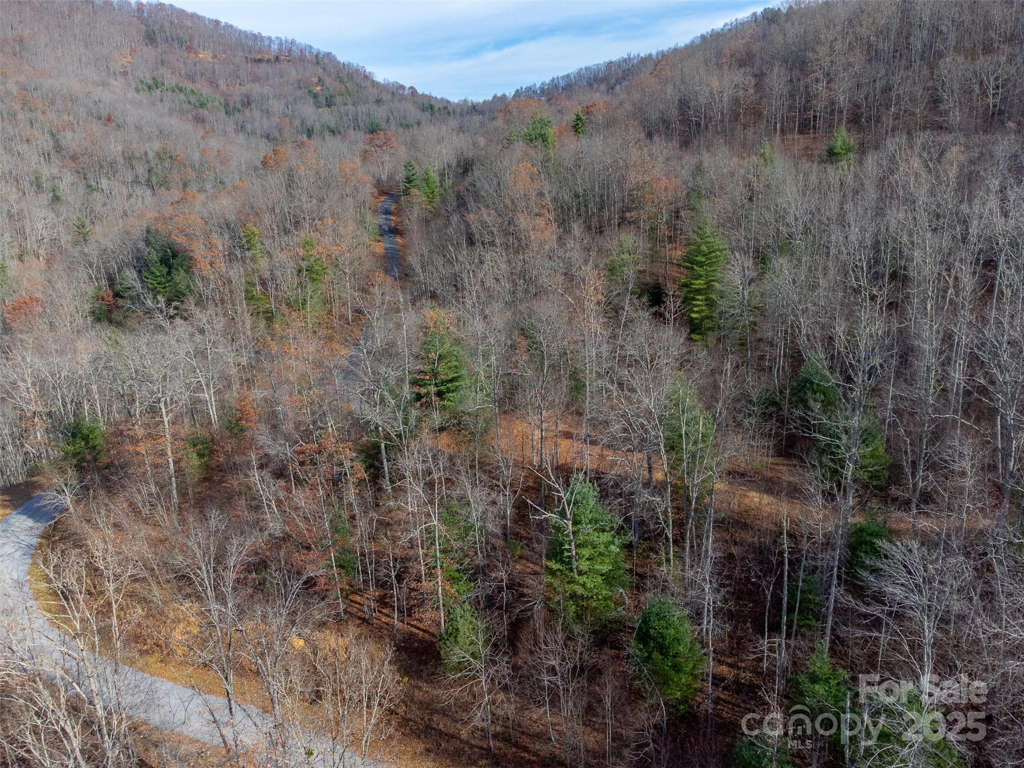 0 Garnet Road Sylva, NC 28779 - Photo 39 of 46 a view of a forest with a tree