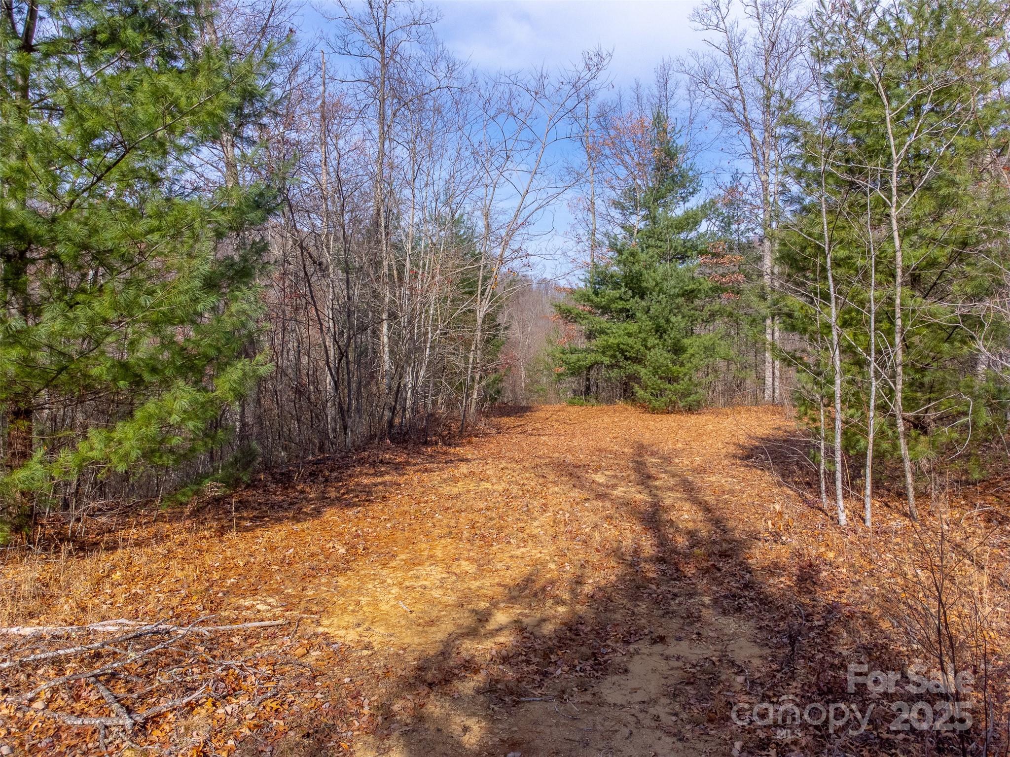 0 Garnet Road Sylva, NC 28779 - Photo 41 of 46 a view of a yard with trees