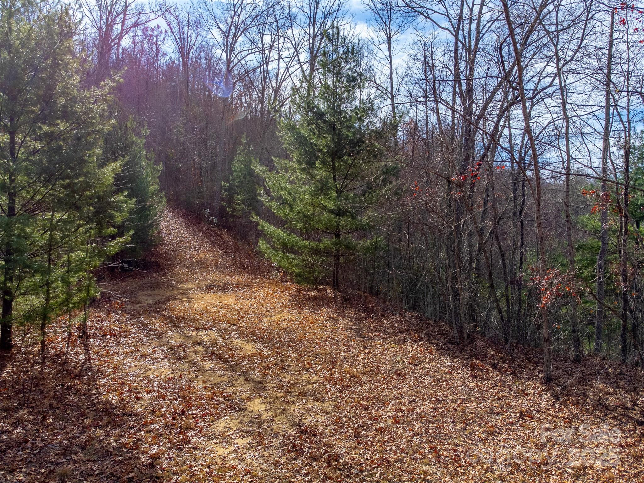 0 Garnet Road Sylva, NC 28779 - Photo 43 of 46 a big yard with lots of green space and fog
