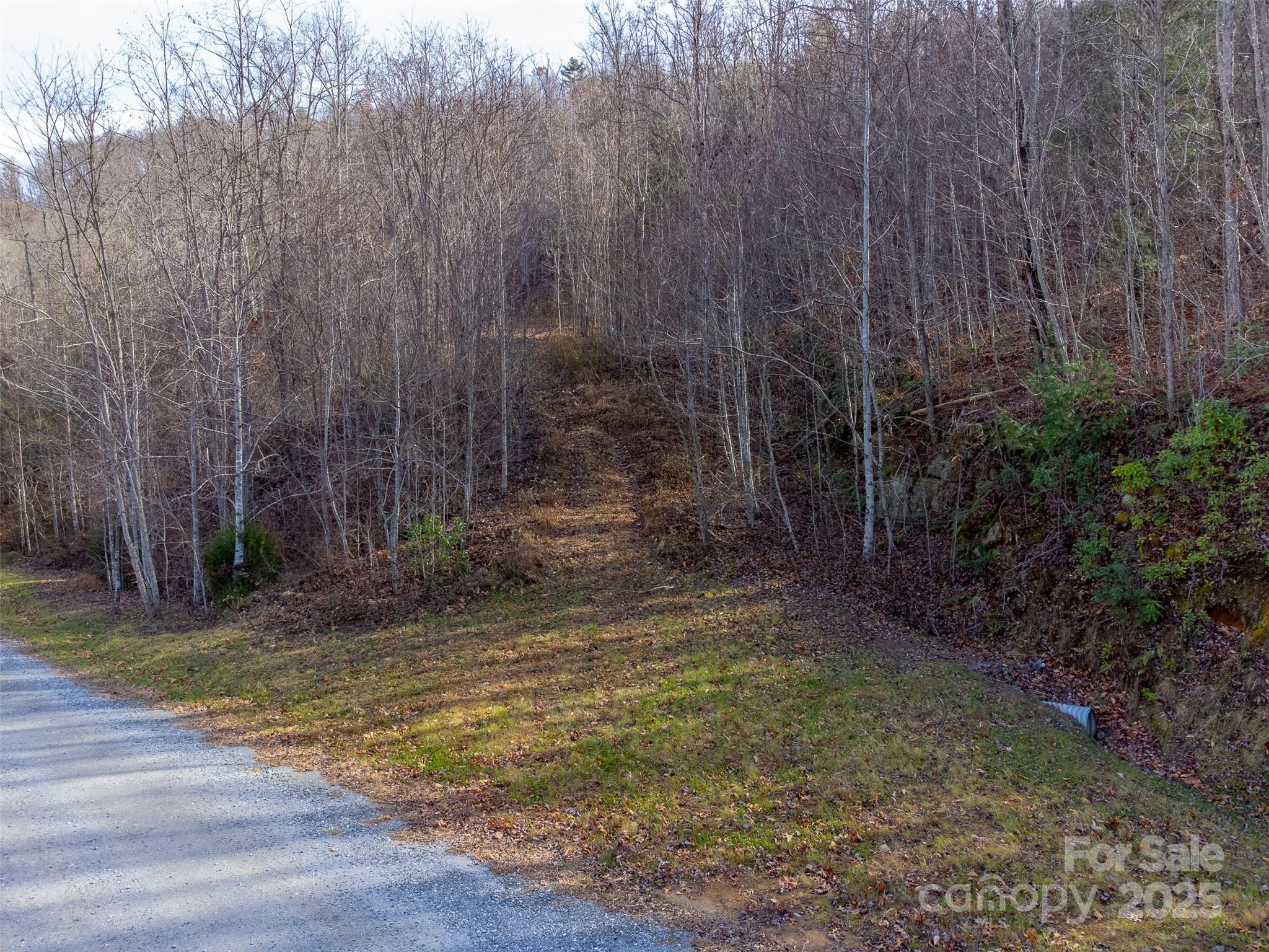 0 Garnet Road Sylva, NC 28779 - Photo 46 of 46 a view of a yard with trees