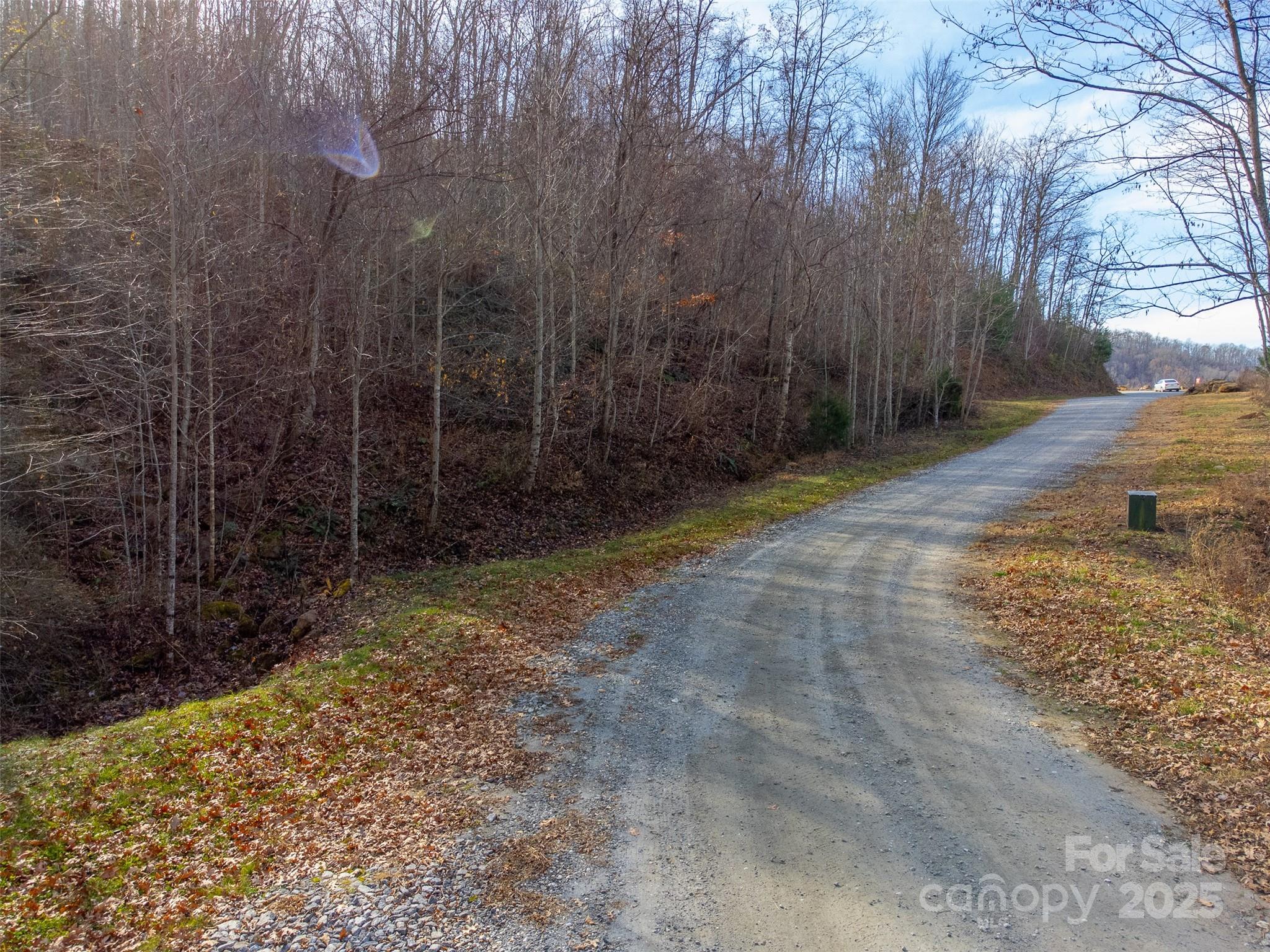 0 Garnet Road Sylva, NC 28779 - Photo 5 of 46 a view of a yard with trees