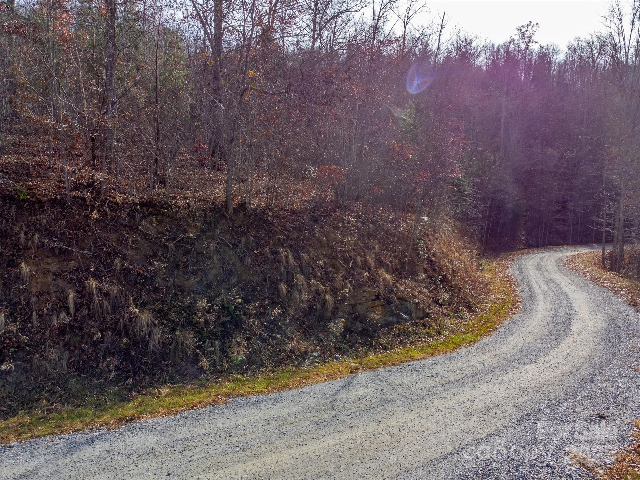 0 Garnet Road Sylva, NC 28779 - Photo 6 of 46 a view of a yard