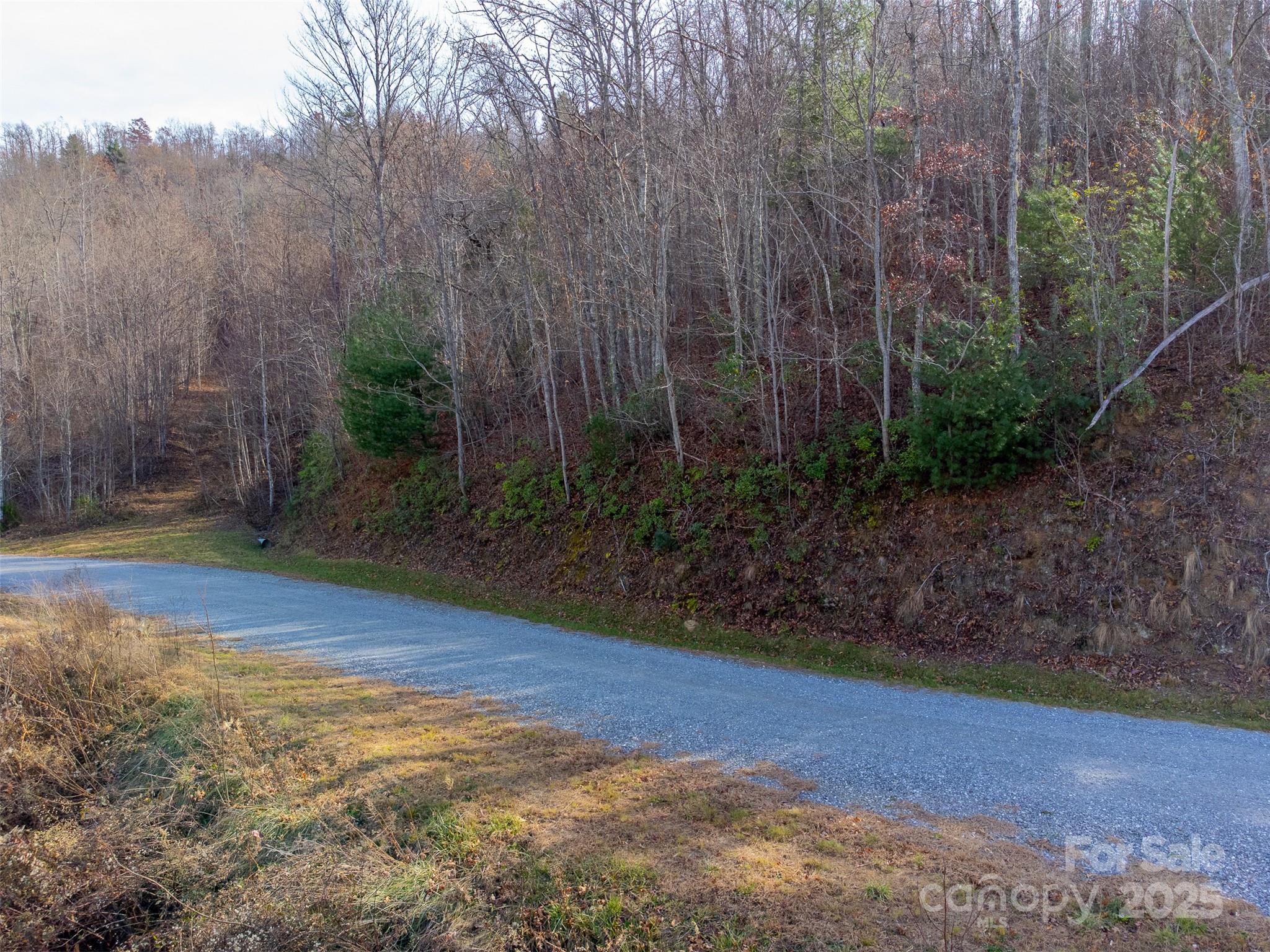 0 Garnet Road Sylva, NC 28779 - Photo 8 of 46 a view of a backyard