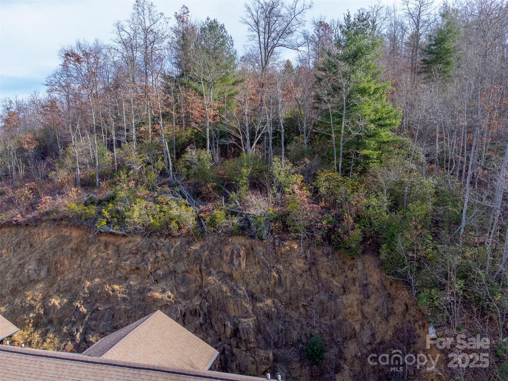 0 Garnet Road Sylva, NC 28779 - Photo 10 of 46 a view of a yard with plants and large trees