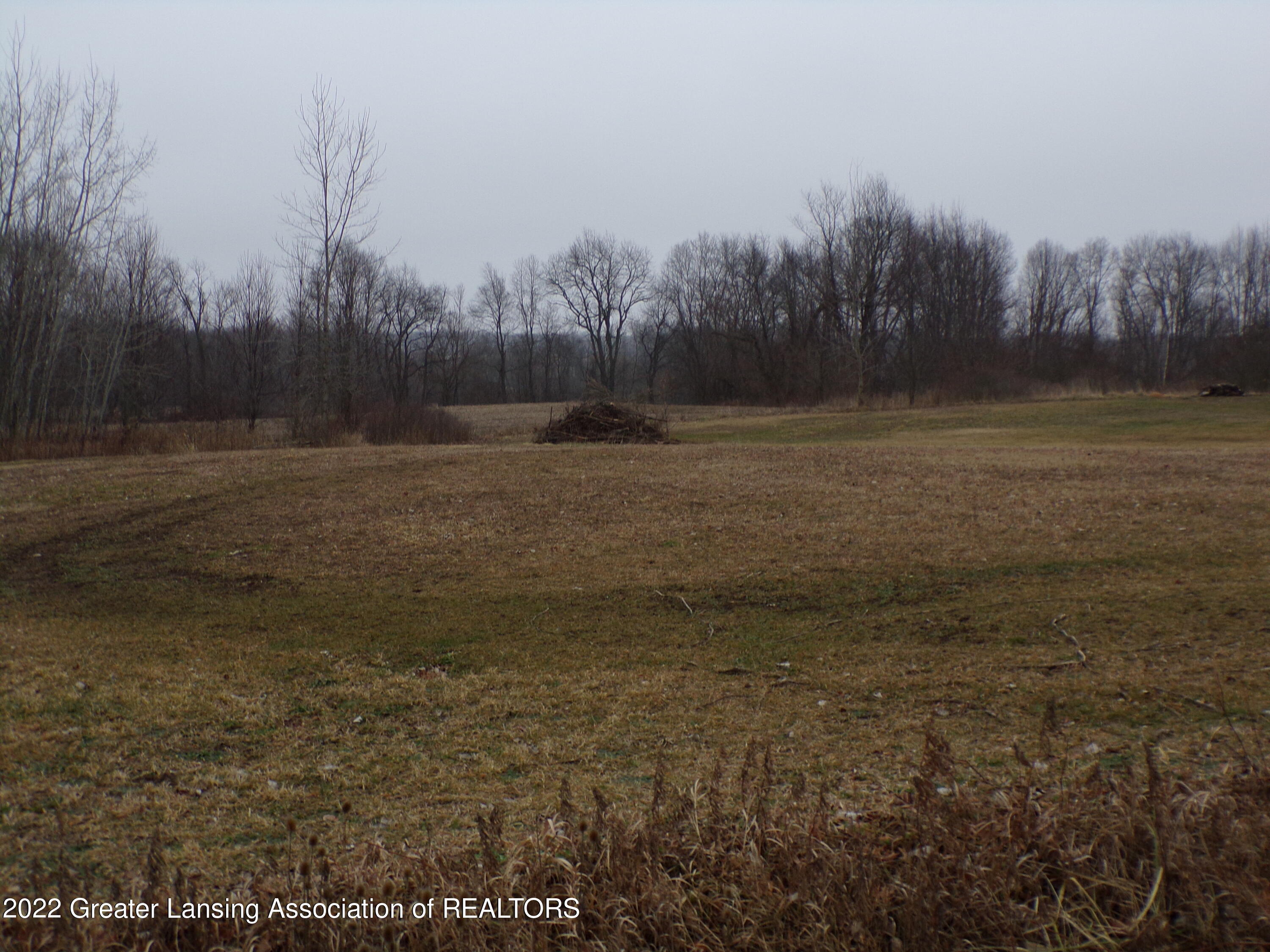 0 South Ainger Road Olivet, MI 49076 - Photo 9 of 15 100_0015
