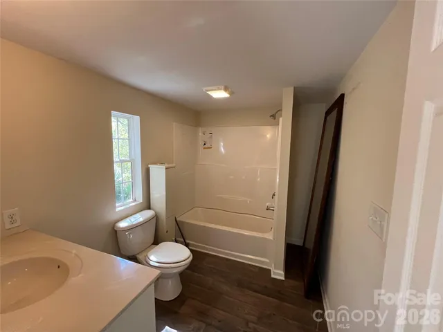 a view of a tree in the middle of a yard