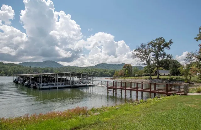 a view of swimming pool with trees in front of it