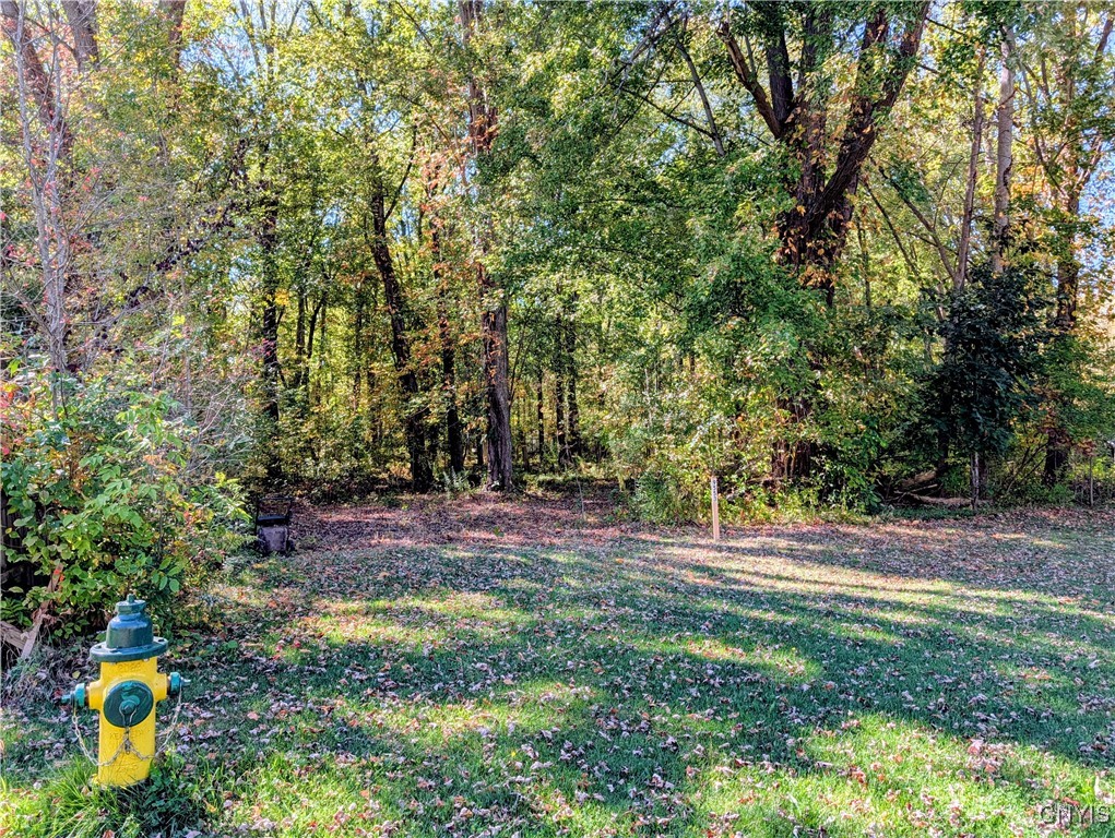 9553 Horseshoe Island Road Clay, NY 13041 - Photo 2 of 4