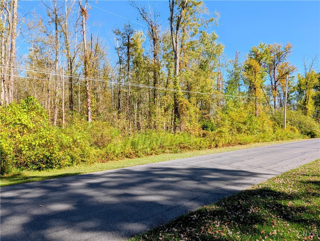 9553 Horseshoe Island Road Clay, NY 13041 - Photo 3 of 4