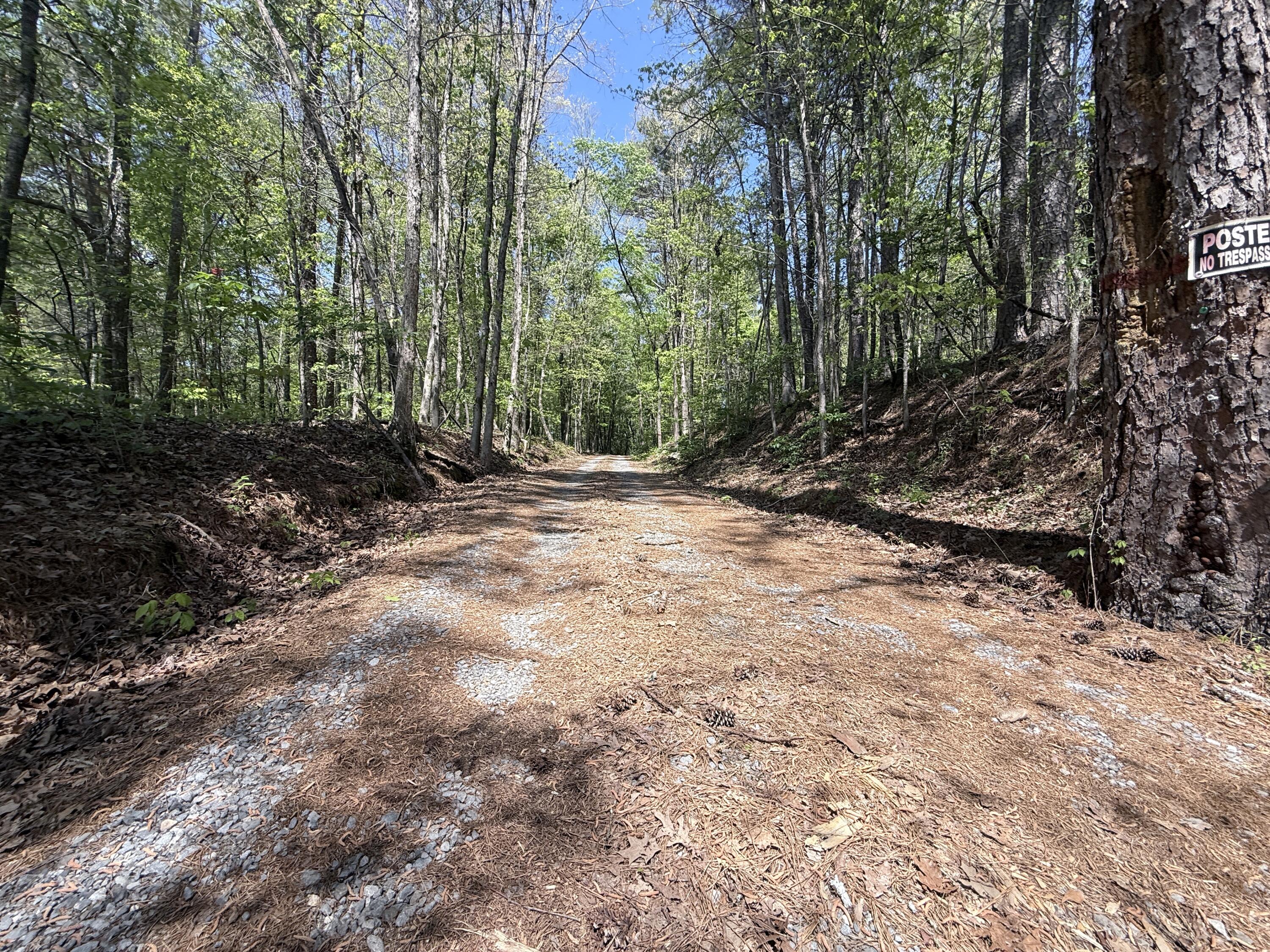 1503 Taliaferro Springs Road Lyerly, GA 30730 - Photo 36 of 37 Drive