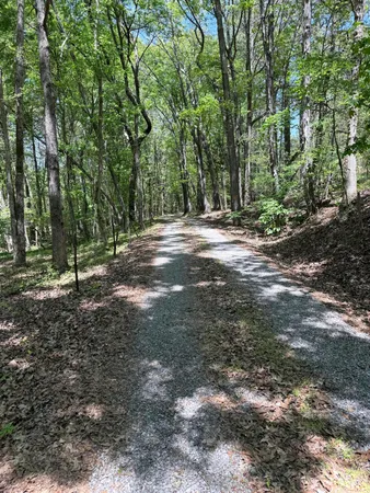 $448,500 | 1503 Taliaferro Springs Road, Lyerly, GA 30730