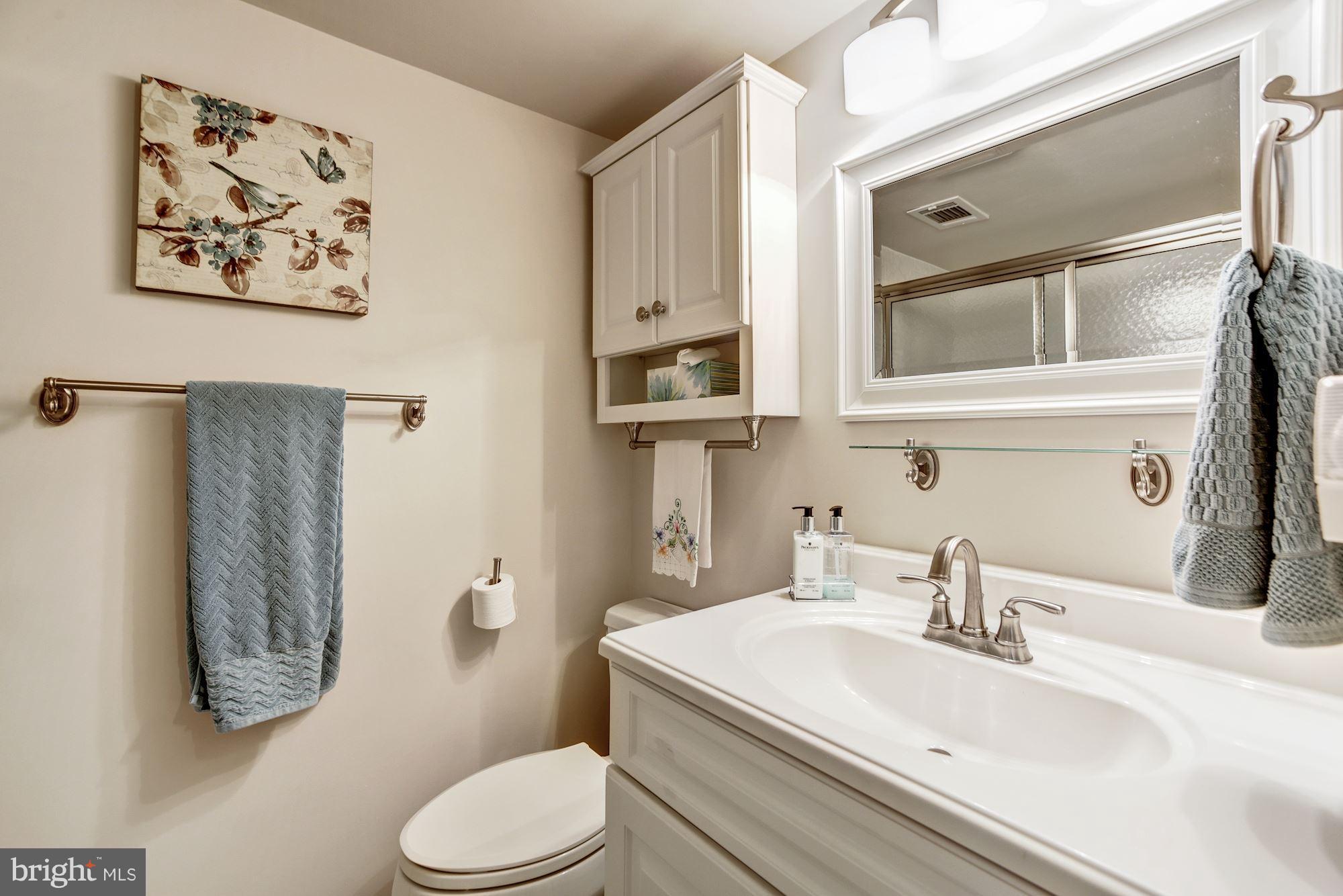 7114 Sontag Way Springfield, VA 22153 - Photo 24 of 30 Lower Level Bath