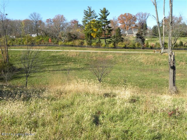 6717 Regal Road, Unit LOT 11 Louisville, KY 40222 - Photo 3 of 3 DSCN0301