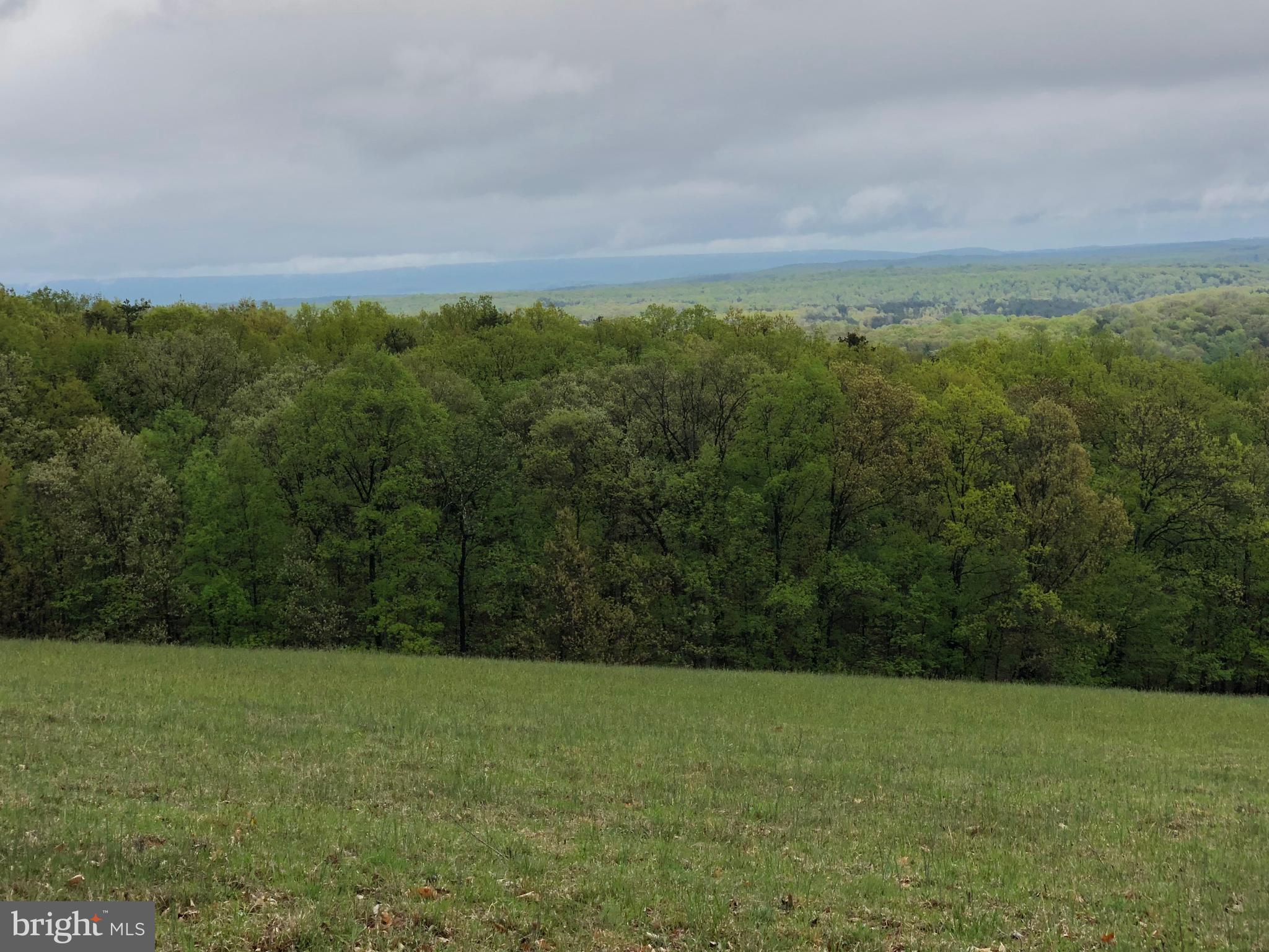 112 South Timber Ridge Road Cross Junction, VA 22625 - Photo 11 of 29 View