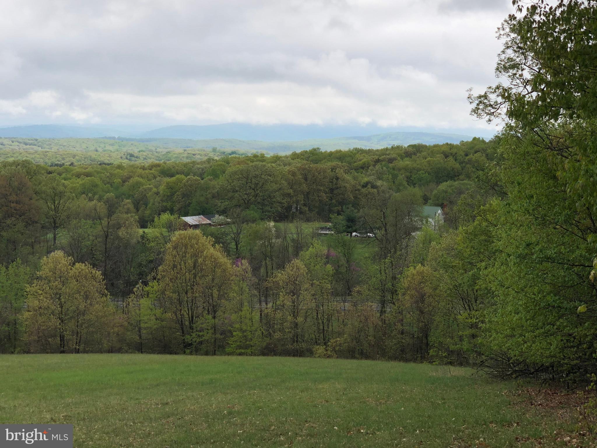 112 South Timber Ridge Road Cross Junction, VA 22625 - Photo 16 of 29 View