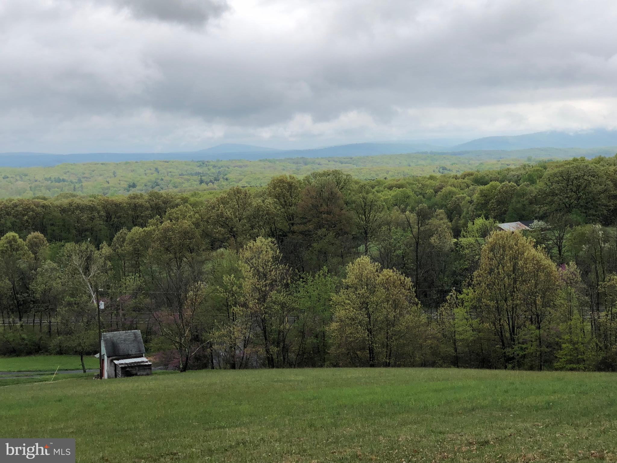 112 South Timber Ridge Road Cross Junction, VA 22625 - Photo 9 of 29 View
