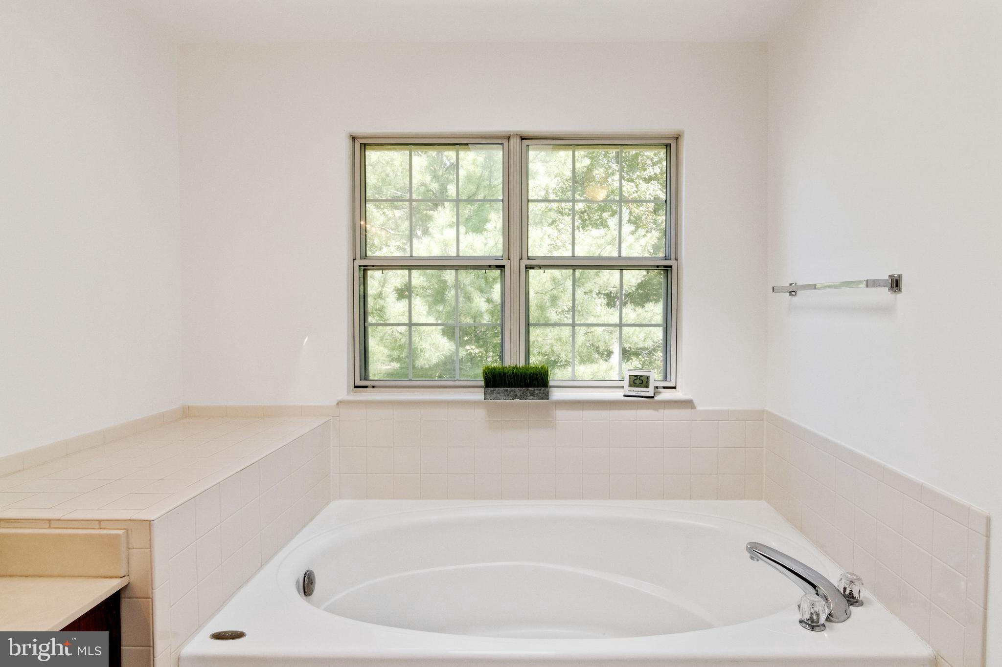 9208 Vanfleet Court Laurel, MD 20708 - Photo 35 of 43 Owners Suite