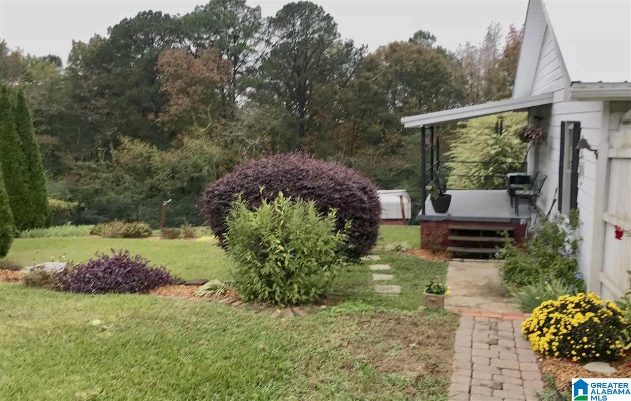 6761 Highway 10 Montevallo, AL 35115 - Photo 31 of 45