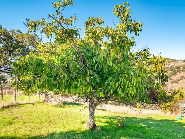 $595,000 | 5430-5434 Black Bart Trail, Redwood Valley, CA 95470