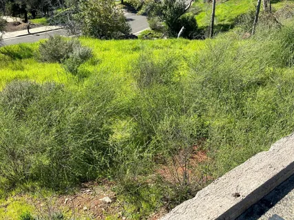a view of a garden from a balcony