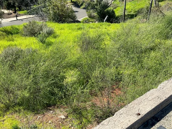 a view of a garden from a balcony