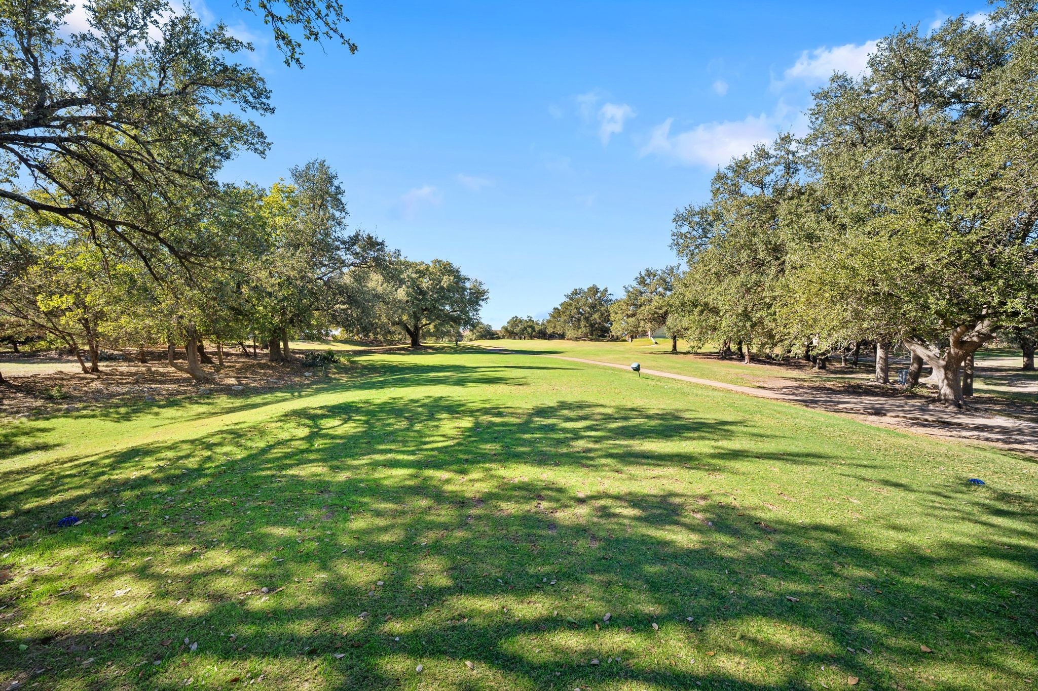 19043 Venture Drive Point Venture, TX 78645 - Photo 4 of 12 a view of yard with large trees