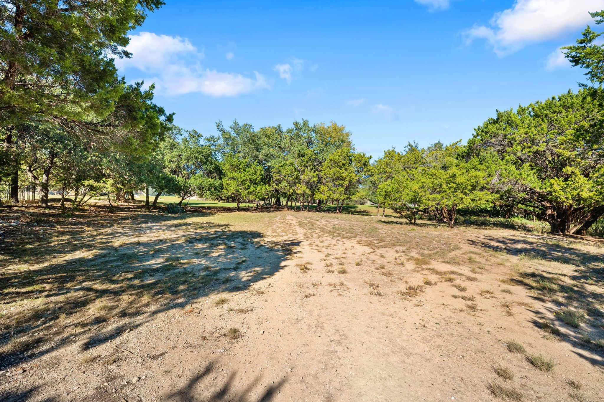 19043 Venture Drive Point Venture, TX 78645 - Photo 6 of 12 a view of yard with green space