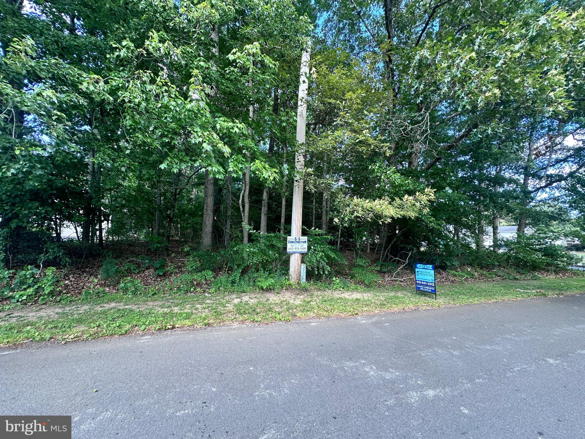 10005 Mason Road Berlin, MD 21811 - Photo 3 of 4