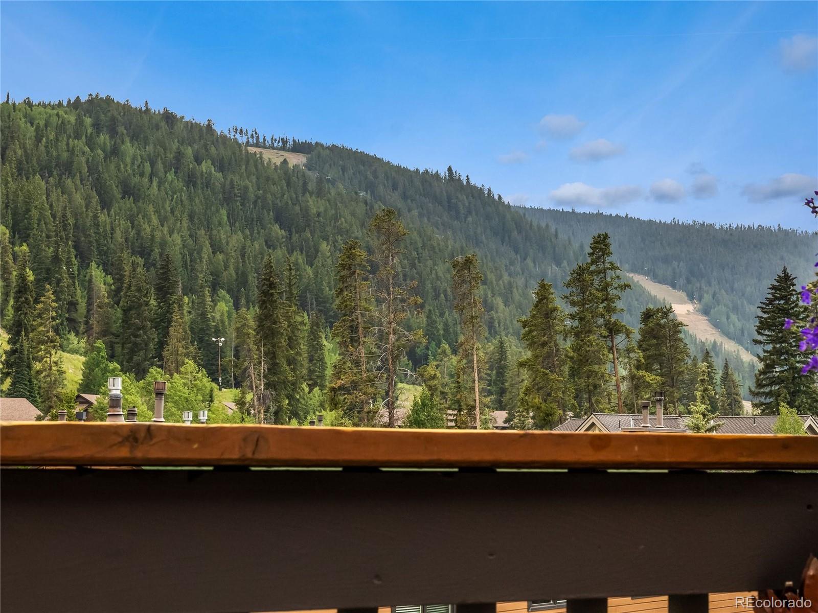 1493 East Keystone Road, Unit 2958 Keystone, CO 80435 - Photo 25 of 38 Gallery Image 25