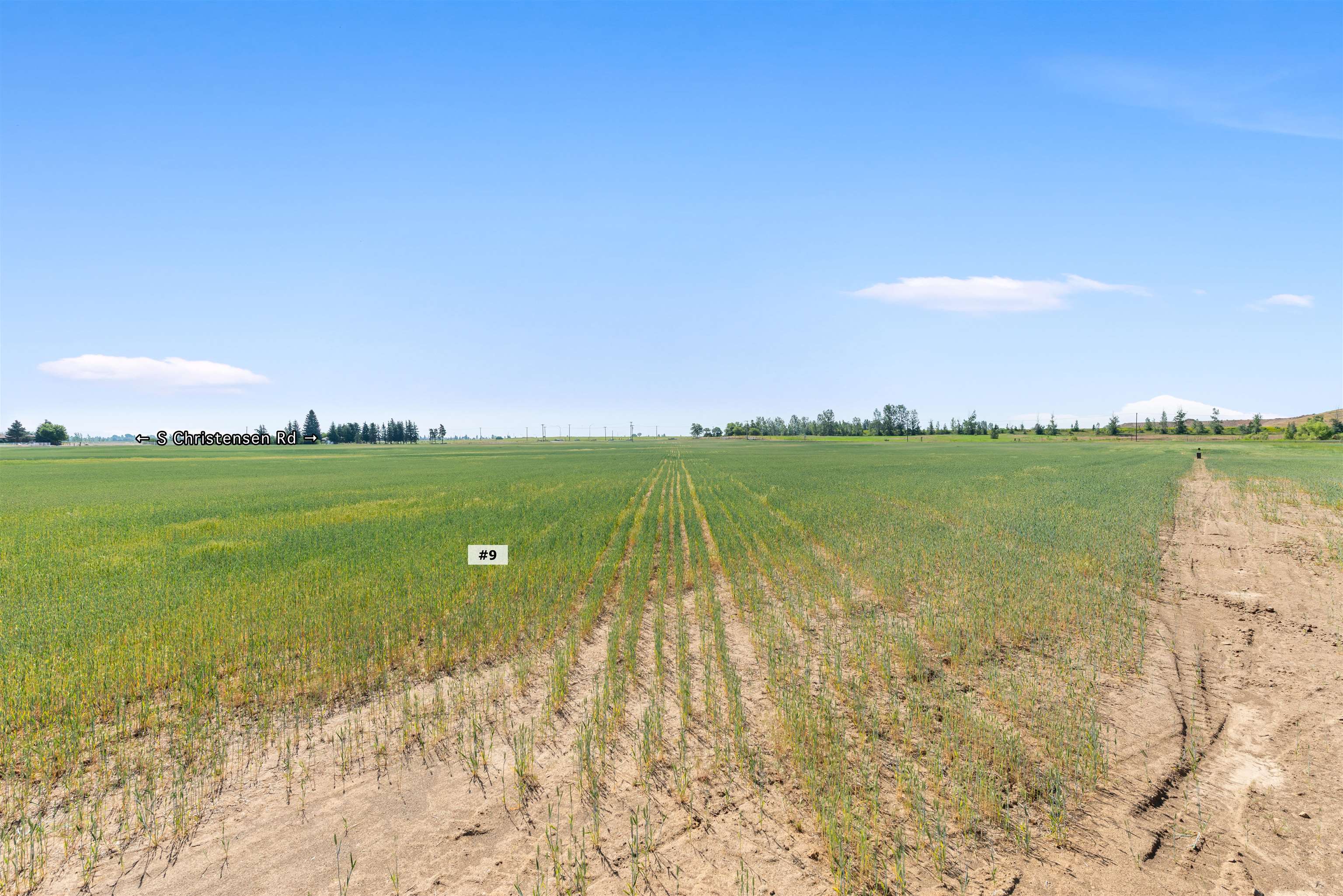 Tbd North Christensen Road Medical Lake, WA 99022 - Photo 4 of 4 Gallery Image 4