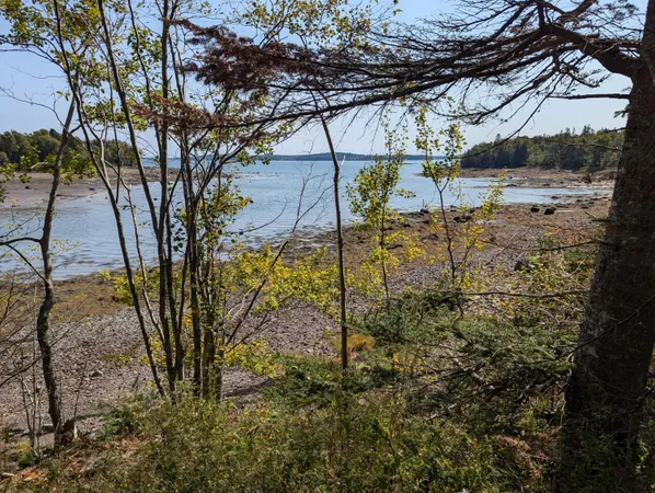 $225,000 | 2 3 4 Birch Point Road, Perry, ME 04667