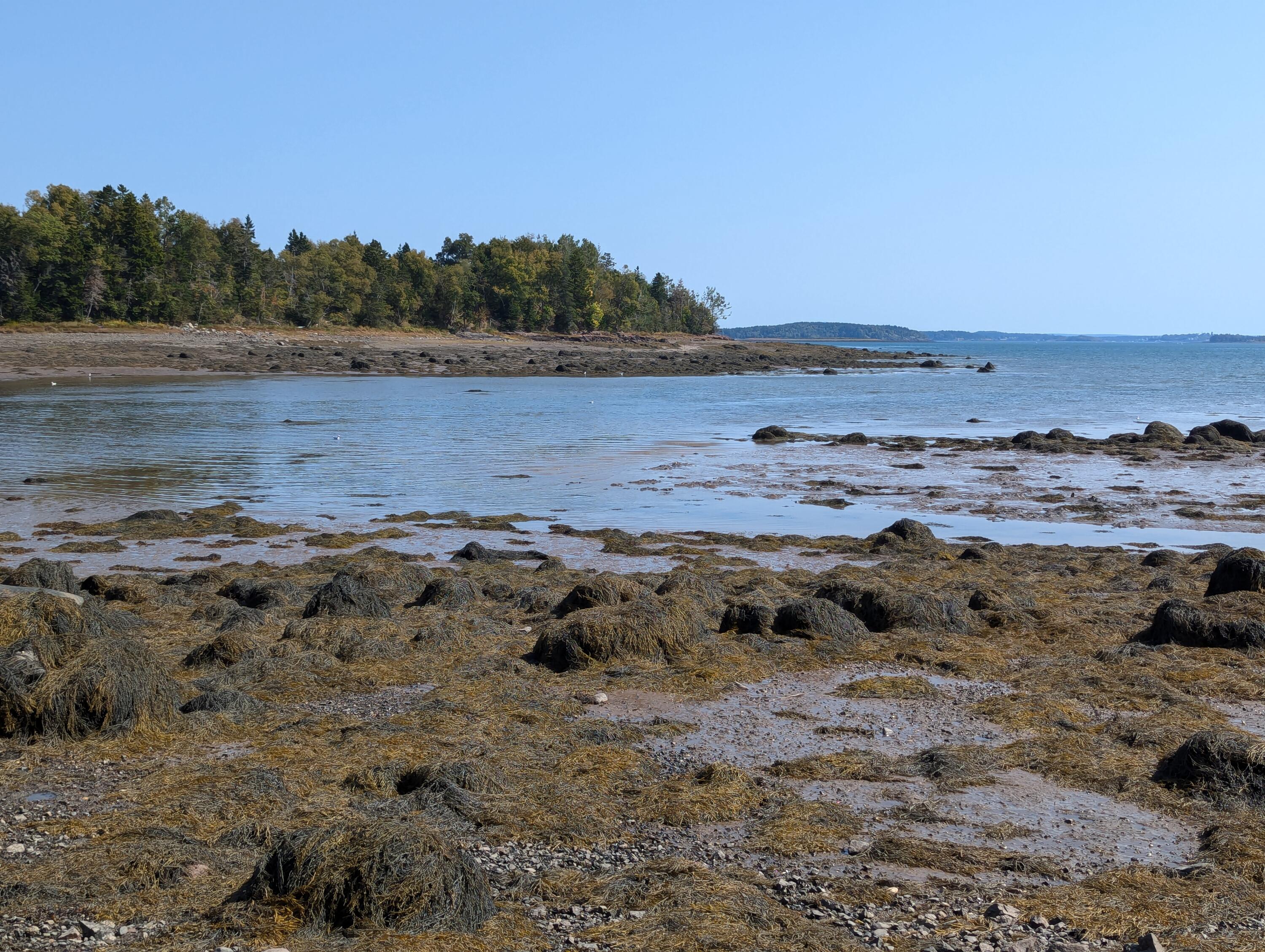2 3 4 Birch Point Road Perry, ME 04667 - Photo 11 of 34 PXL_20240915_173759915