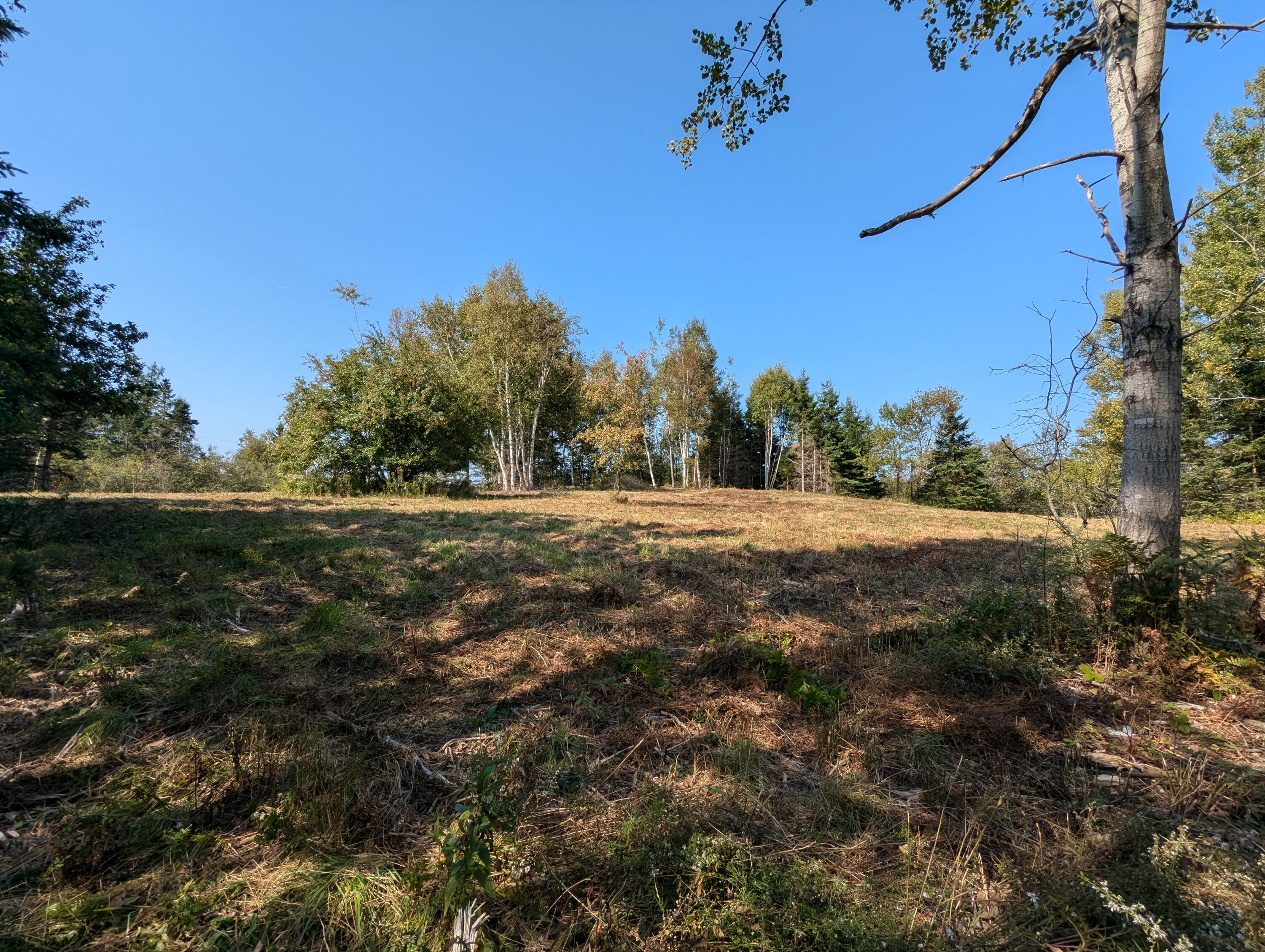 2 3 4 Birch Point Road Perry, ME 04667 - Photo 12 of 26 PXL_20240915_174906391