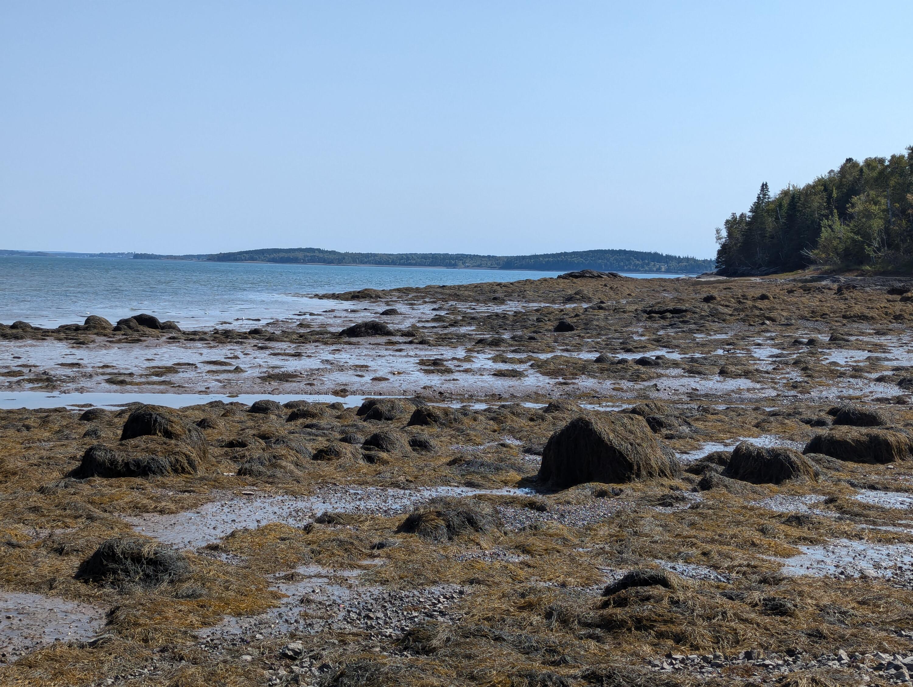2 3 4 Birch Point Road Perry, ME 04667 - Photo 12 of 34 PXL_20240915_173802200