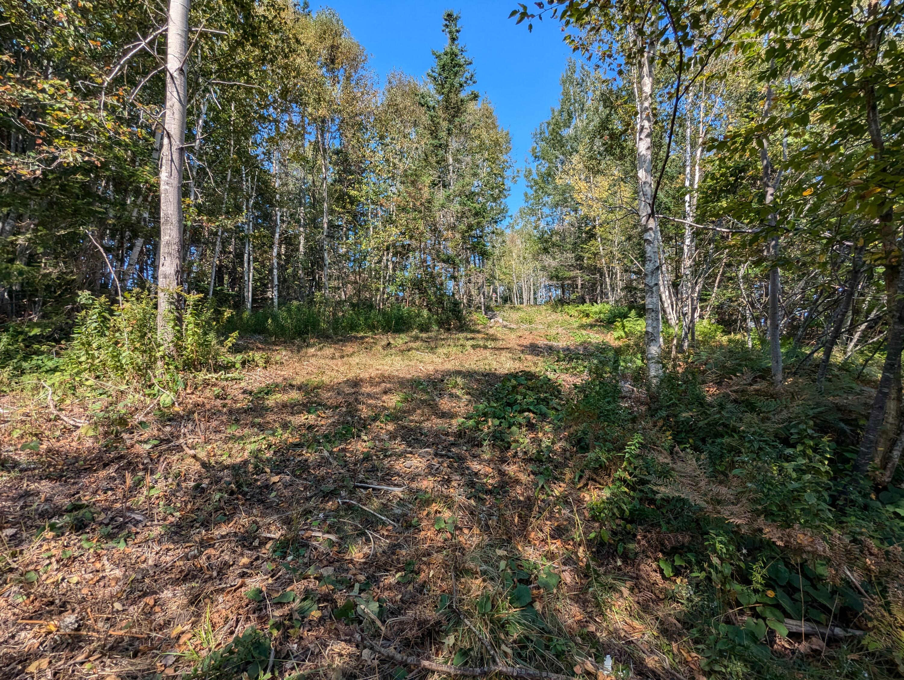 2 3 4 Birch Point Road Perry, ME 04667 - Photo 14 of 26 PXL_20240915_174718716