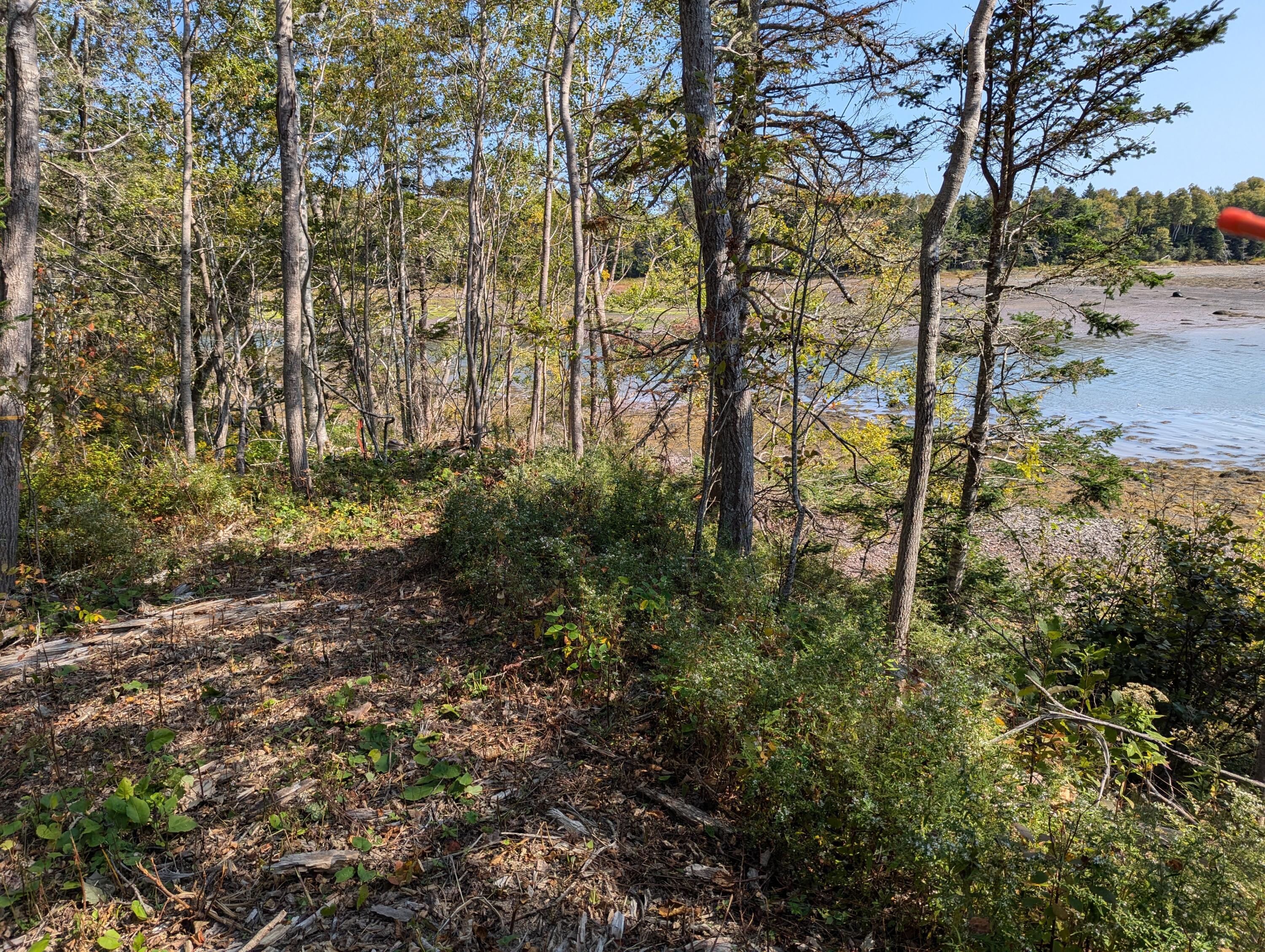 2 3 4 Birch Point Road Perry, ME 04667 - Photo 15 of 34 PXL_20240915_171256385