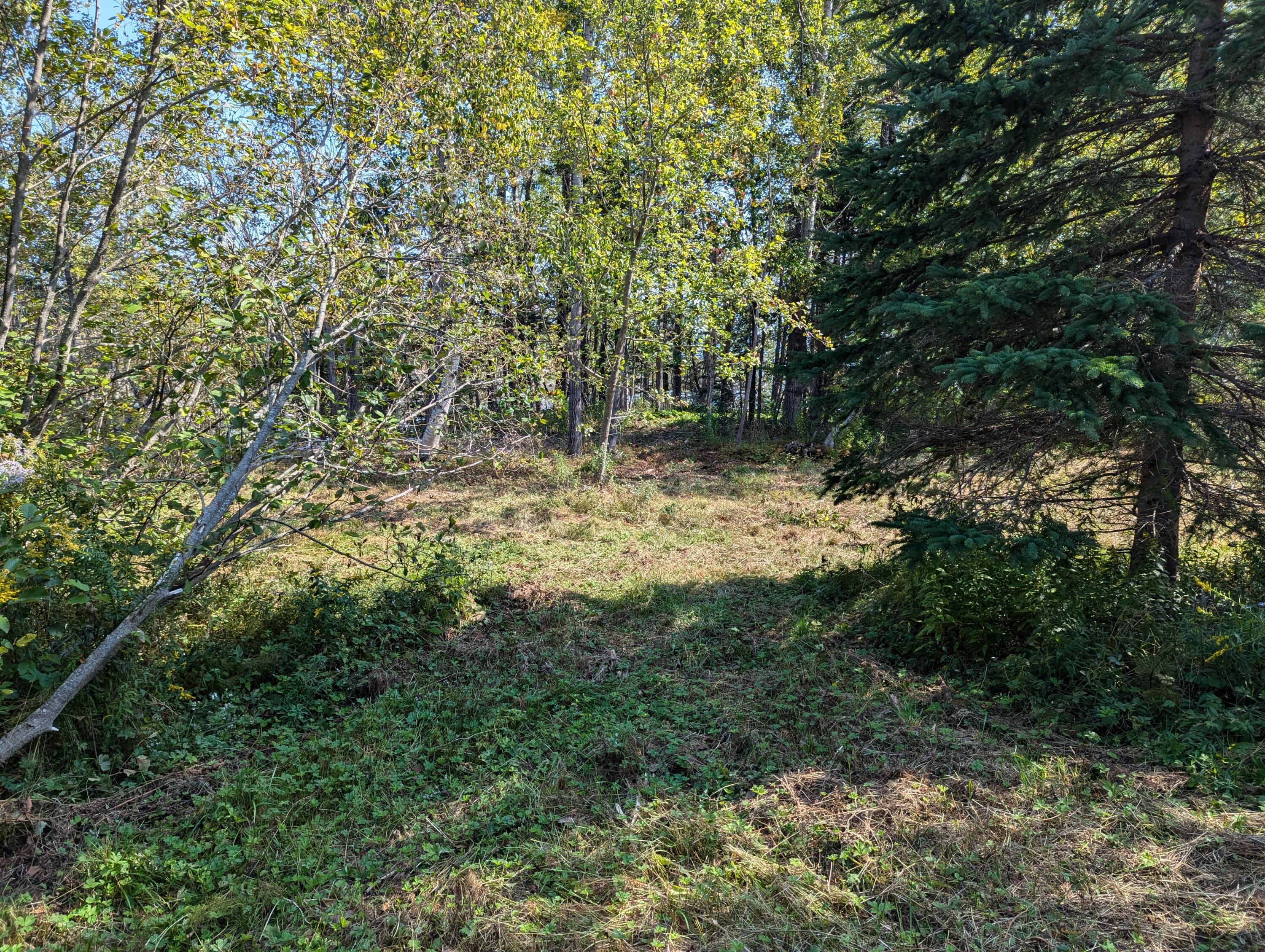 2 3 4 Birch Point Road Perry, ME 04667 - Photo 15 of 26 PXL_20240915_172458155