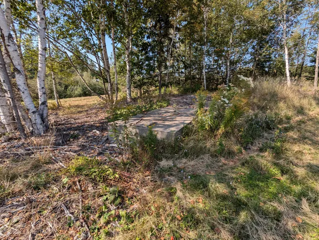 $225,000 | 2 3 4 Birch Point Road, Perry, ME 04667