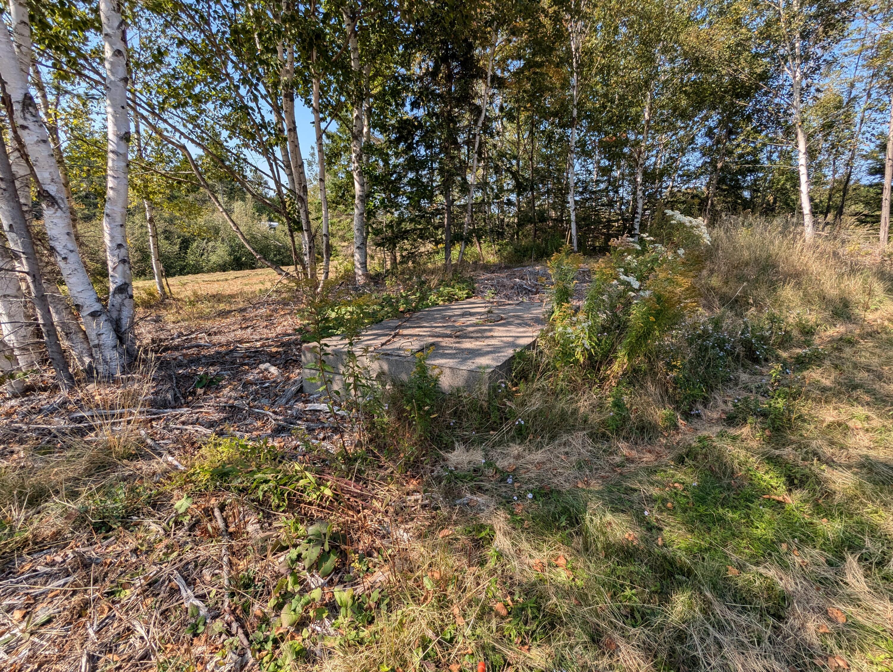 2 3 4 Birch Point Road Perry, ME 04667 - Photo 16 of 26 PXL_20240915_172535614