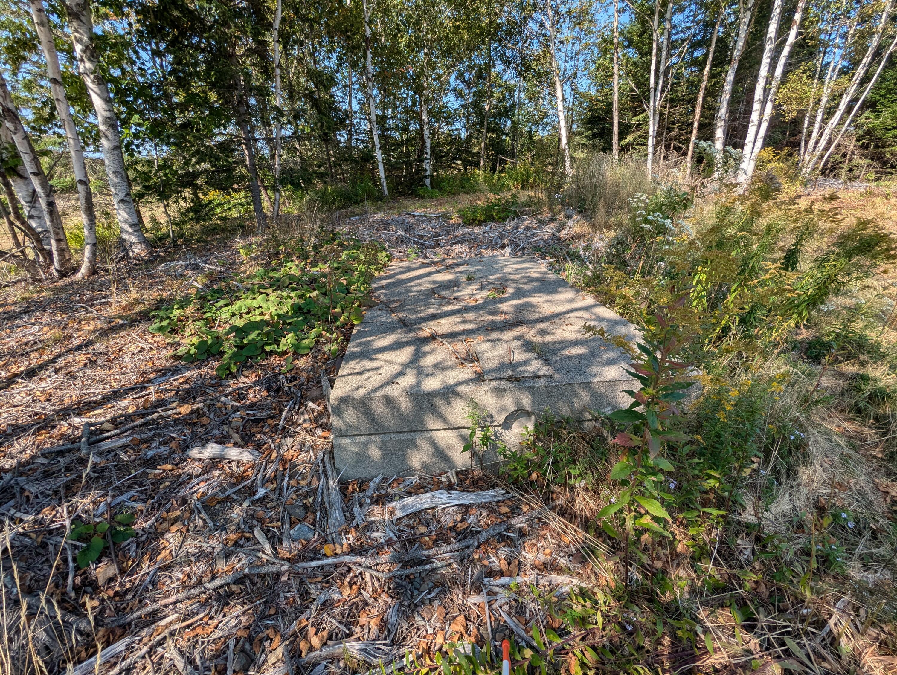 2 3 4 Birch Point Road Perry, ME 04667 - Photo 17 of 26 PXL_20240915_172541135