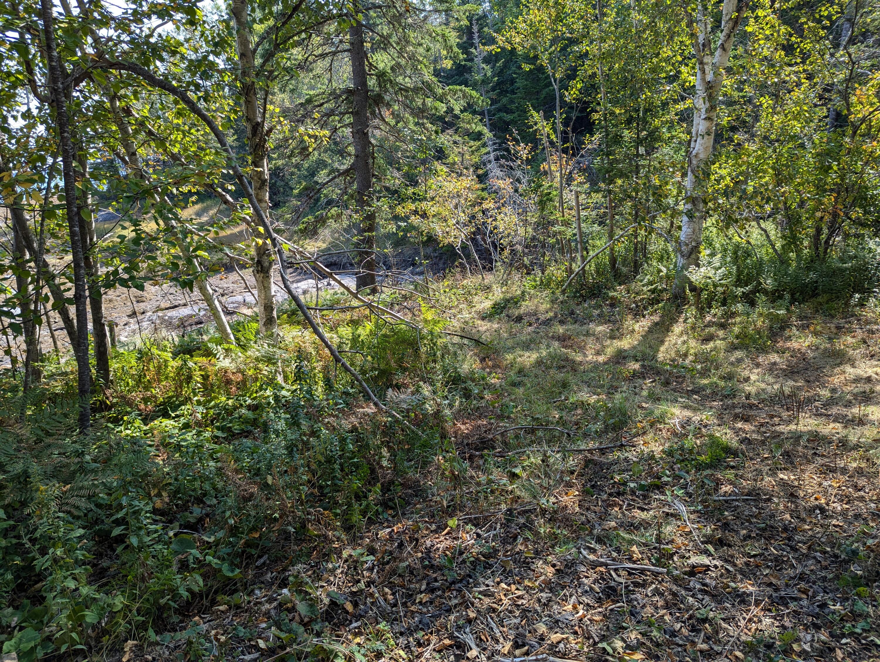 2 3 4 Birch Point Road Perry, ME 04667 - Photo 18 of 26 PXL_20240915_173534074