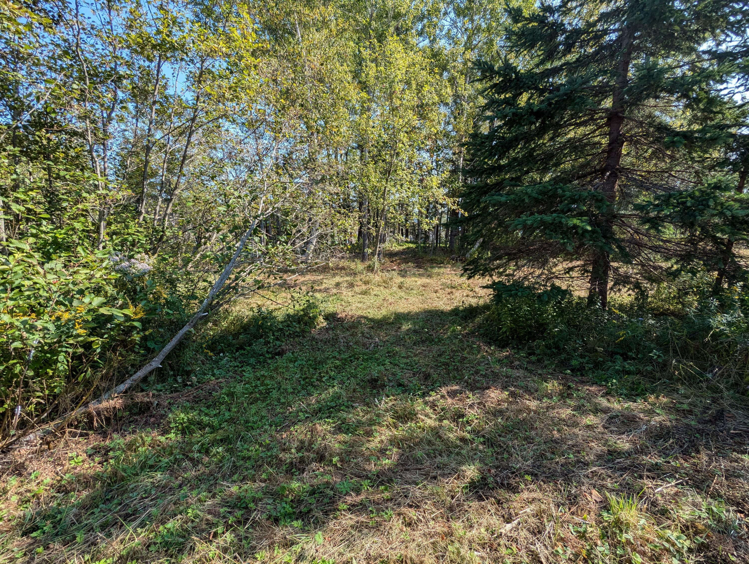 2 3 4 Birch Point Road Perry, ME 04667 - Photo 19 of 26 PXL_20240915_172500783