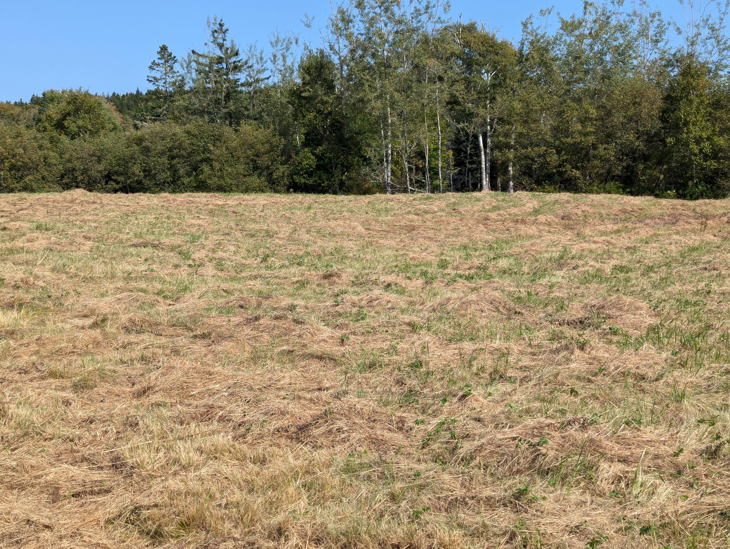 2 3 4 Birch Point Road Perry, ME 04667 - Photo 20 of 26 PXL_20240915_170510103