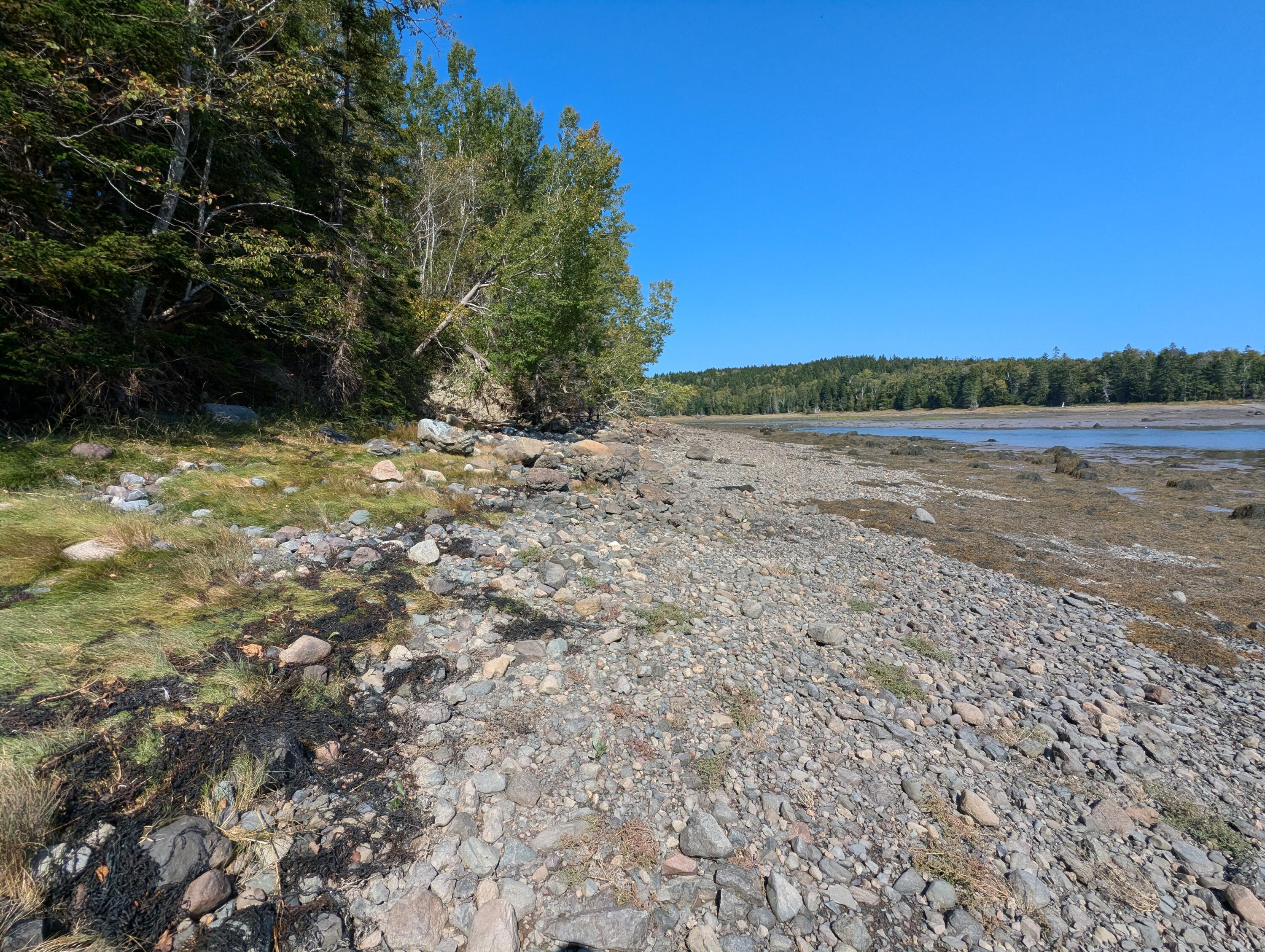 2 3 4 Birch Point Road Perry, ME 04667 - Photo 26 of 26 PXL_20240915_173648824
